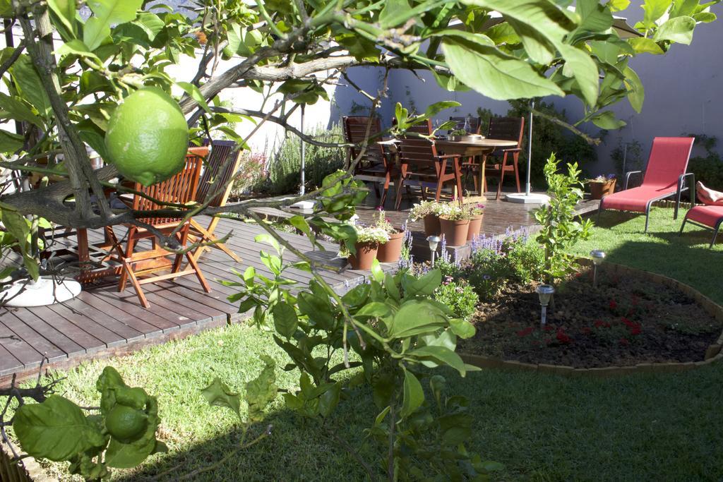 The Lions Guest House Cape Town Eksteriør bilde