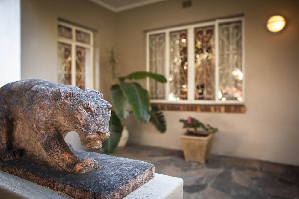 The Lions Guest House Cape Town Eksteriør bilde