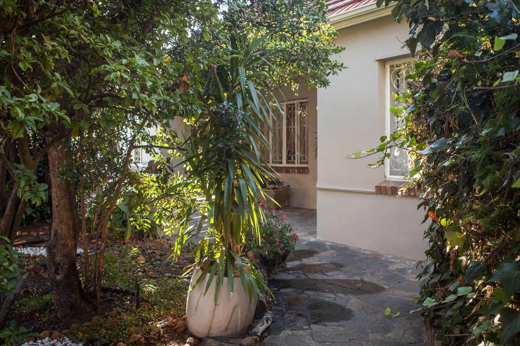 The Lions Guest House Cape Town Eksteriør bilde