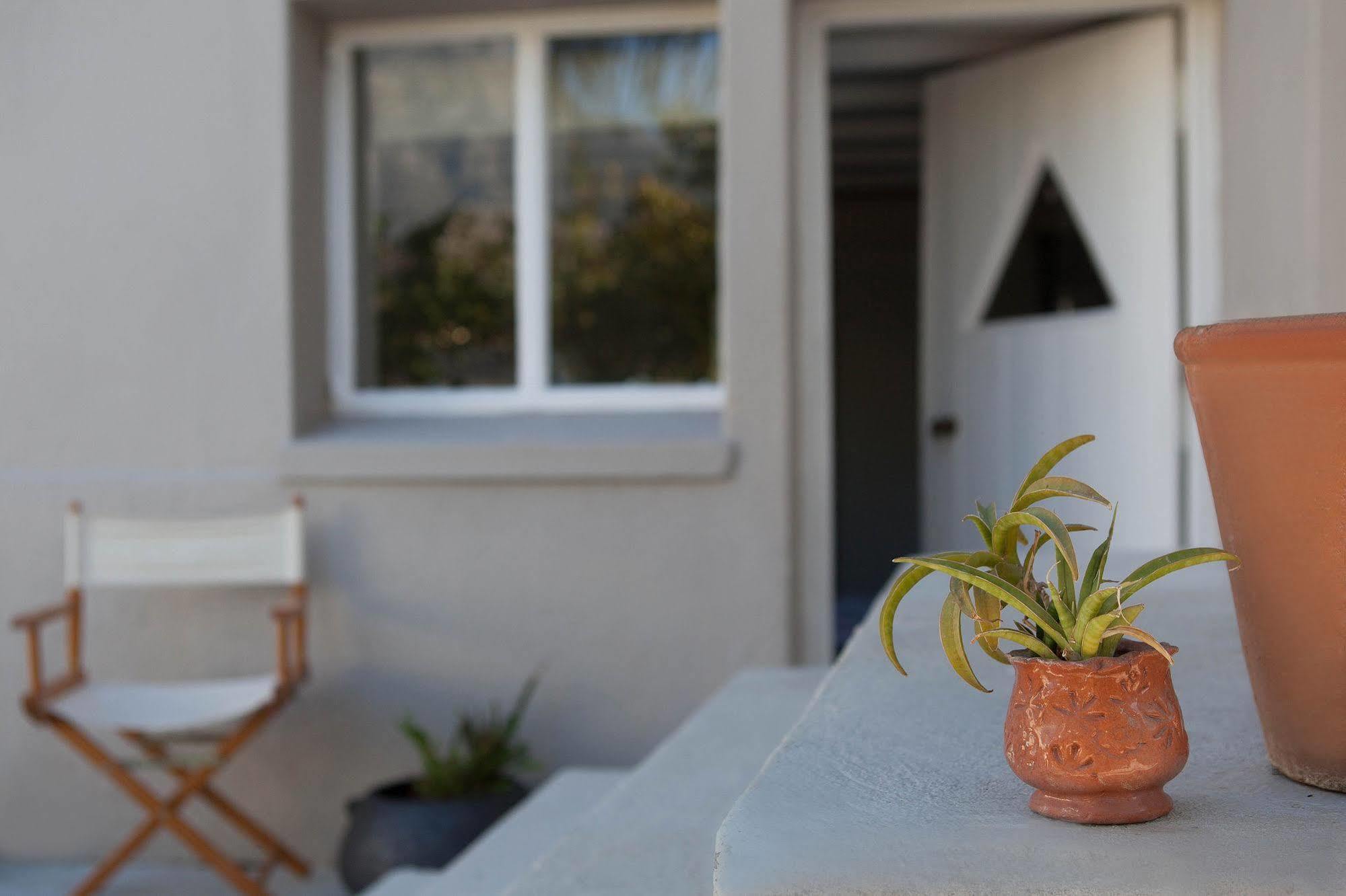 The Lions Guest House Cape Town Eksteriør bilde